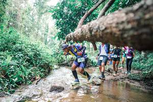 BIB: 
                            <button type="button" onclick="openModal(25375184)" class="btn btn-primary btn-sm float-right btn-popup" data-toggle="modal" data-target=".modal-high-quality">
                        <i class="fas fa-shopping-cart"></i> Add to Cart
                    </button>
                                            <button type="button" onclick="isThisMe(25375184, true)" class="btn btn-success btn-sm float-right btn-popup btn-isme hidden" data-toggle="tooltip" data-placement="bottom" title="นี่คือรูปของคุณใช่ไหม คลิกที่นี่เพื่อเอาเข้าอัลบั้ม">
                        <i class="fas fa-plus"></i> Add to album
                    </button>
                    <button type="button" onclick="isThisMe(25375184, false)" class="btn btn-warning btn-sm float-right btn-popup btn-isnotme hidden">
                        <i class="fas fa-ban"></i> Remove from album
                    </button>